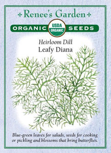 Dill Leafy Diana Organic