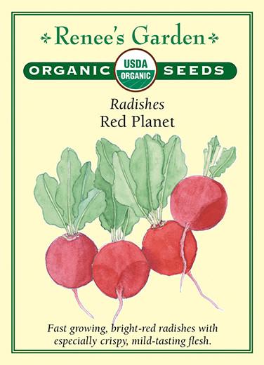 Radish Red Planet Organic