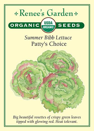 Lettuce Bibb Patty's Choice Organic