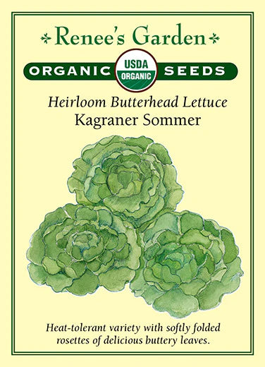 Lettuce Kagraner Sommer Organic