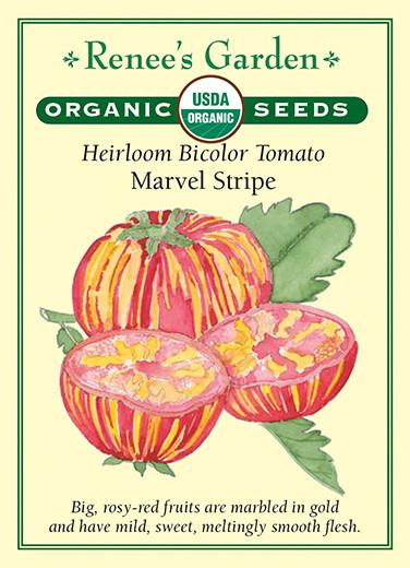 Tomato Bicolor Marvel Stripe Organic