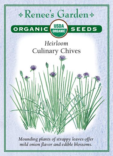 Chives Culinary Organic