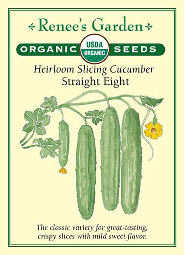 Cucumber Slicing Straight Eight Organic