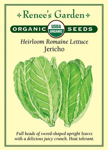 Lettuce Jericho Romaine Organic
