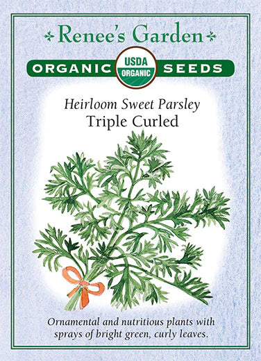 Parsley Triple Curled Organic