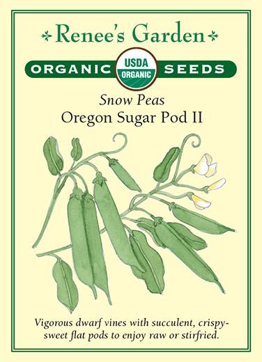 Pea Snow Oregon Sugar Pod II Organic