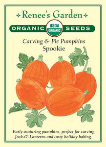 Pumpkin Carving & Pie Spookie Organic