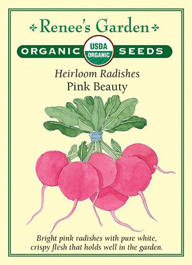 Radish Pink Beauty Organic