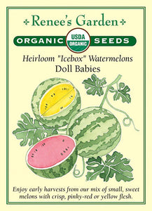 Watermelon Doll Babies Organic