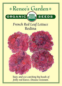 Lettuce Redina French Red Leaf Organic