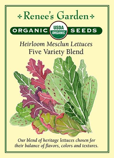 Lettuce Mesclun 5 Variety Blend Organic