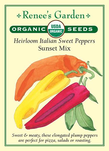 Pepper Italian Sweet Sunset Mix Organic