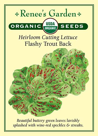 Lettuce Flashy Trout Back Organic