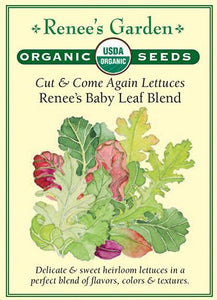 Lettuce Renee's Special Baby Leaf Organic