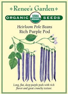 Bean Pole Rich Purple Pod Organic 