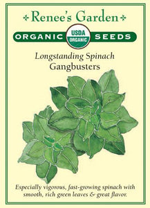 Spinach Longstanding Gangbusters