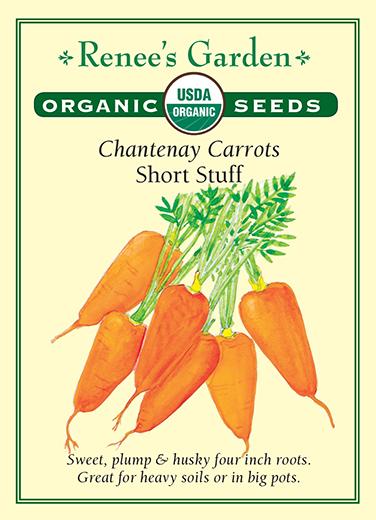 Carrot Chantenay Short Stuff  Organic