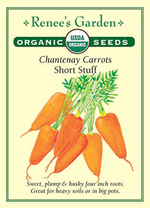 Carrot Short Stuff Organic