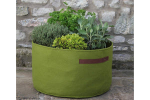 Haxnicks Vigoroot Herb Planter