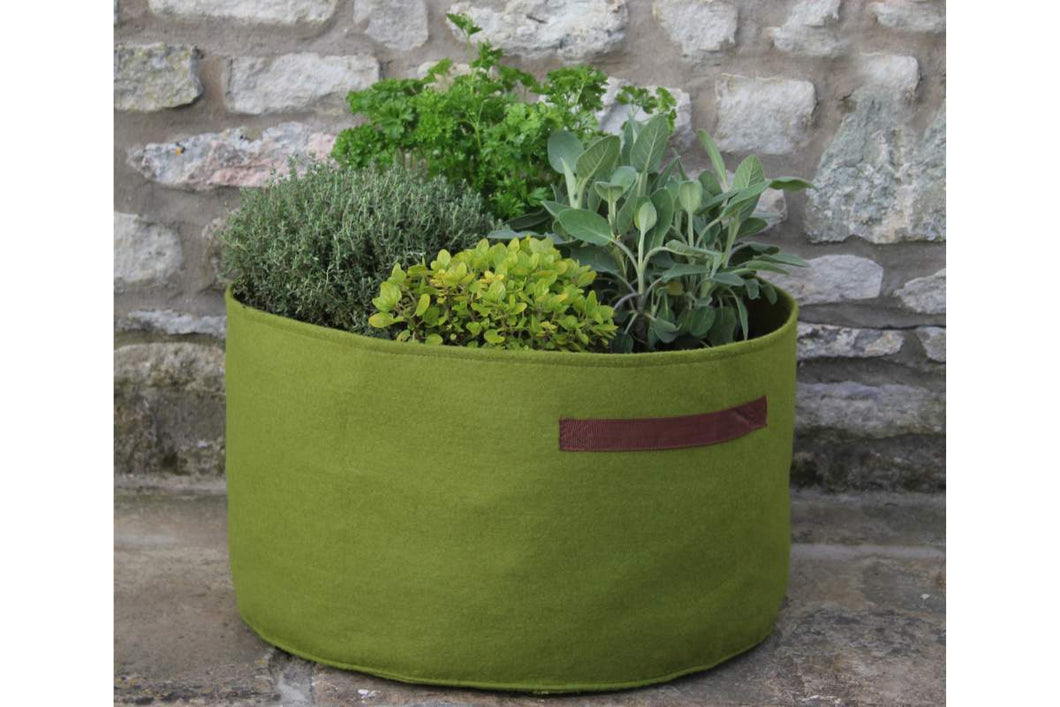 Haxnicks Vigoroot Herb Planter