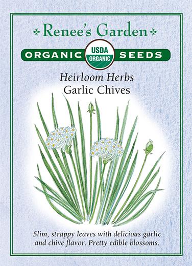 Chives Garlic Organic