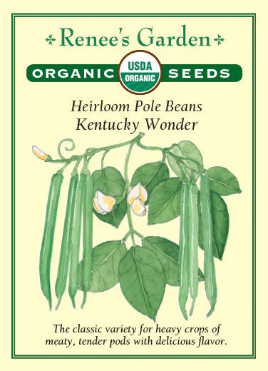 Bean Pole Kentucky Wonder Organic