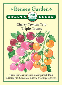 Tomato Cherry Triple Treats