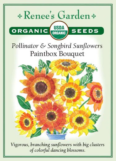 Sunflower Paintbox Bouquet Organic