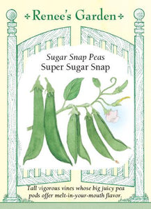 Pea Super Sugar Snap