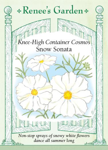 Cosmos Snow Sonata Knee-High 