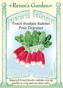 Radish Breakfast Petit Dejeuner