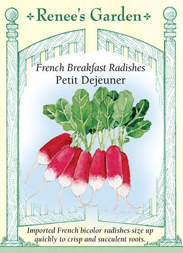 Radish Breakfast Petit Dejeuner