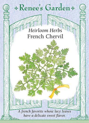 Chervil French