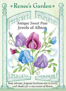 Sweet Pea Jewels of Albion Scented