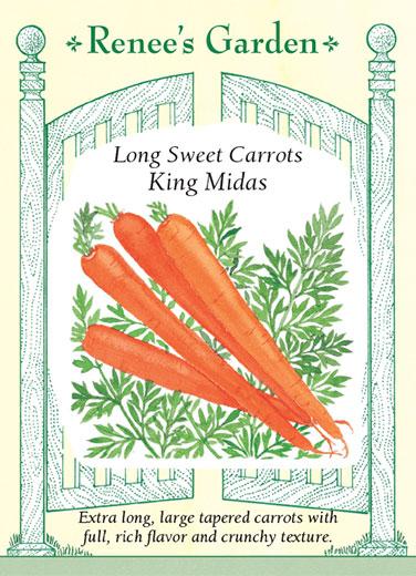  Carrot King Midas Long