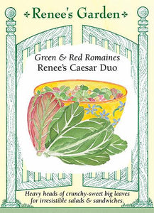 Lettuce Romaine 2-Color Caesar Duo