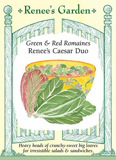 Lettuce Romaine 2-Color Caesar Duo
