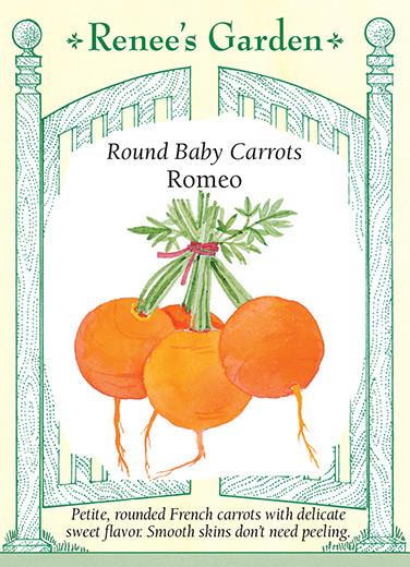 Carrot Round Romeo