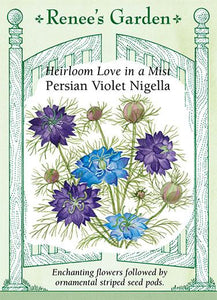 Nigella Persian Violet
