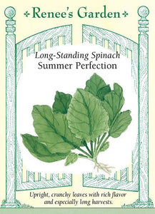 Spinach Summer Perfection