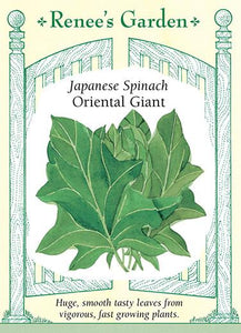 Spinach Oriental Giant