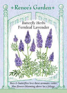 Lavender Fernleaf