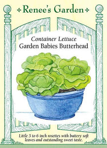  Lettuce Container Garden Babies