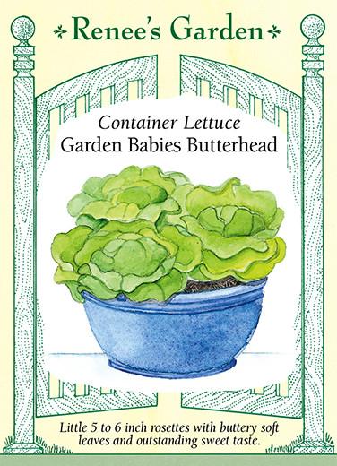  Lettuce Container Garden Babies