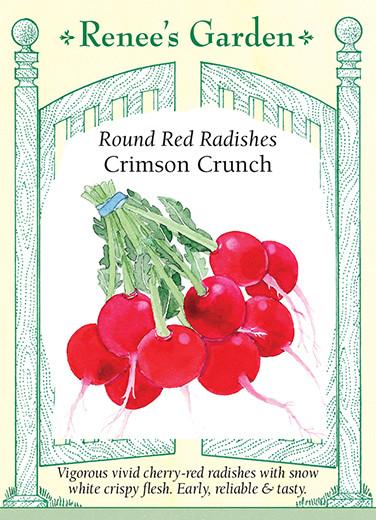 Radish Crimson Crunch