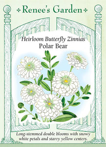 Zinnia Polar Bear