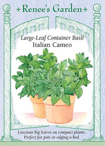 Basil Container Italian Cameo