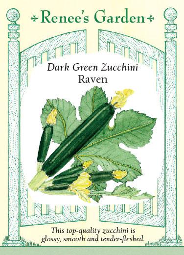 Squash Zucchini Raven