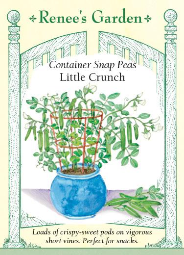 Pea Snap Container Little Crunch
