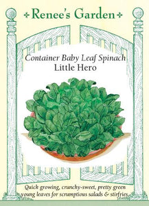 Spinach Container Little Hero